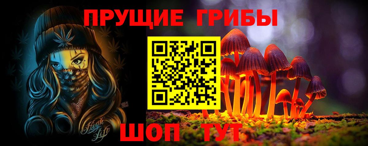 Псилоцибиновые грибы Psilocybe  Вход с VPN  Котовск 
