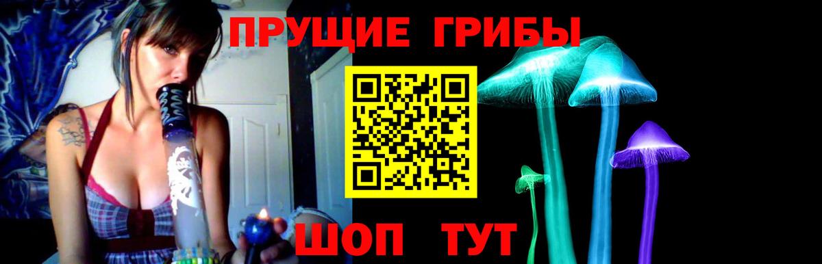 Псилоцибиновые грибы Psilocybine cubensis Котовск